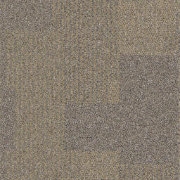 Op zoek naar tapijttegels van Interface? Transformation in de kleur Meadow is een uitstekende keuze. Bekijk deze en andere tapijttegels in onze webshop.