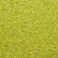 Heuga 584 Apple / Interface / Boucle (lussenpool) / 50 cm x 50 cm / Groen / 1