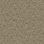 Op zoek naar tapijttegels van Interface? Concrete Mix - Broomed in de kleur Cobblestone is een uitstekende keuze. Bekijk deze en andere tapijttegels in onze webshop.
