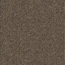 Concrete Mix - Broomed Shellstone / Interface / Boucle (lussenpool) / 50 cm x 50 cm / Bruin