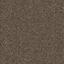 Concrete Mix - Broomed Shellstone / Interface / Boucle (lussenpool) / 50 cm x 50 cm / Bruin / 1