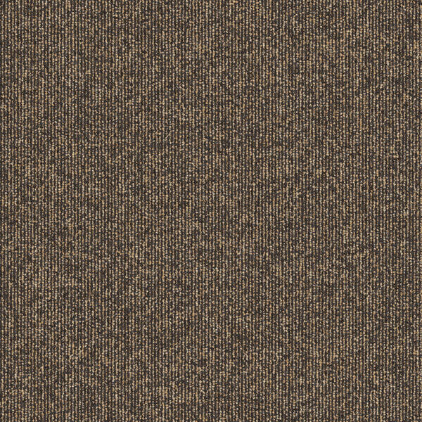 Concrete Mix - Broomed Shellstone / Interface / Boucle (lussenpool) / 50 cm x 50 cm / Bruin