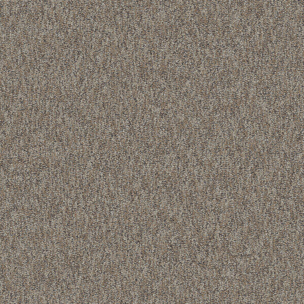 Concrete Mix - Brushed Fieldstone / Interface / Boucle (lussenpool) / 50 cm x 50 cm / Bruin