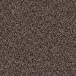 Concrete Mix - Brushed Brownstone / Interface / Boucle (lussenpool) / 50 cm x 50 cm / Grijs