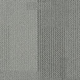 Transformation Shell - 1628063