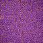 Op zoek naar tapijttegels van Interface? Special Custom Made in de kleur Lizard Violet is een uitstekende keuze. Bekijk deze en andere tapijttegels in onze webshop.