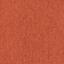 Op zoek naar tapijttegels van Interface? Output Loop in de kleur Tangerine is een uitstekende keuze. Bekijk deze en andere tapijttegels in onze webshop.