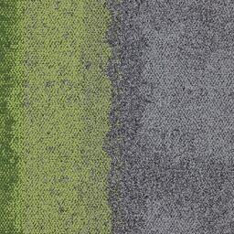 Op zoek naar tapijttegels van Interface? Composure Edge in de kleur Olive/Seclusion is een uitstekende keuze. Bekijk deze en andere tapijttegels in onze webshop.