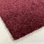Op zoek naar tapijttegels van Heuga? Soft Senses in de kleur Sea Urchin is een uitstekende keuze. Bekijk deze en andere tapijttegels in onze webshop.