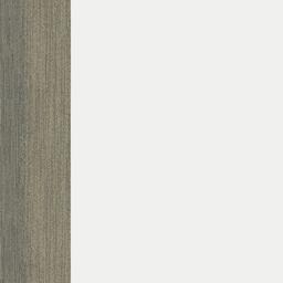 Touch of Timber Elm / Interface / Microtuft / 25 cm x 100 cm / Beige