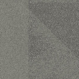 Op zoek naar tapijttegels van Interface? Human Connection Sone in de kleur Paver Grey is een uitstekende keuze. Bekijk deze en andere tapijttegels in onze webshop.