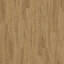 Op zoek naar tapijttegels van Interface? LVT Textured Woodgrains Planks (Vinyl) in de kleur Antique Ash Oak is een uitstekende keuze. Bekijk deze en andere tapijttegels in onze webshop.