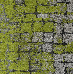 Op zoek naar tapijttegels van Interface? Human Connection in de kleur Moss Granite/Moss is een uitstekende keuze. Bekijk deze en andere tapijttegels in onze webshop.
