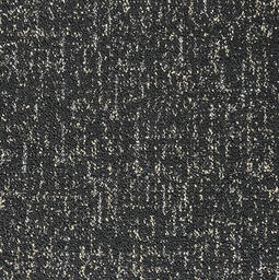 Op zoek naar tapijttegels van Interface? Visual Code in de kleur Haptic Black 8.000 is een uitstekende keuze. Bekijk deze en andere tapijttegels in onze webshop.