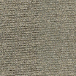 Op zoek naar tapijttegels van Interface? Human Connection in de kleur Paver Granite ReCushion is een uitstekende keuze. Bekijk deze en andere tapijttegels in onze webshop.
