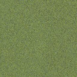 Heuga 727 Fern / Interface / Boucle (lussenpool) / 50 cm x 50 cm / Groen