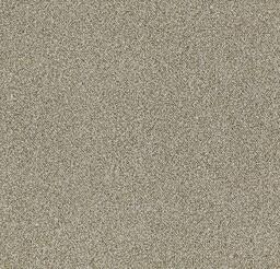 Touch & Tones 101 Second Choice Biscuit / Interface / Boucle (lussenpool) / 50 cm x 50 cm / Beige
