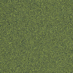 Biosfera Boucle Giado / Interface / Boucle (lussenpool) / 50 cm x 50 cm / Groen