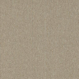 Biosfera Micro Romano Classico / Interface / Microtuft / 50 cm x 50 cm / Beige