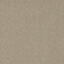 Biosfera Micro Romano Classico / Interface / Microtuft / 50 cm x 50 cm / Beige / 1