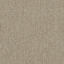Biosfera Micro Romano Classico / Interface / Microtuft / 50 cm x 50 cm / Beige / 2