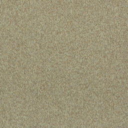 Op zoek naar tapijttegels van Interface? Paradox II in de kleur Sand is een uitstekende keuze. Bekijk deze en andere tapijttegels in onze webshop.