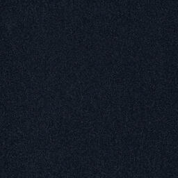 Polichrome Blue Whale / Interface / Velours / 50 cm x 50 cm / Zwart