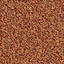 Op zoek naar tapijttegels van Interface? Sherbet Fizz in de kleur Orangeade is een uitstekende keuze. Bekijk deze en andere tapijttegels in onze webshop.