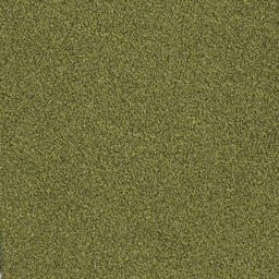 Op zoek naar tapijttegels van Interface? Sherbet Fizz in de kleur Lime Green (EXTRA Isolation) is een uitstekende keuze. Bekijk deze en andere tapijttegels in onze webshop.