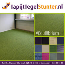Moderne frisse groene tapijttegels geleverd en gelegd bij Kliko Veenendaal.
Serie Equilibrium bestaat uit een mix van twee kleurnuances en is in vele kleuren verkrijgbaar. Equilibrium
Frog